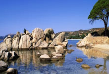 关于菲尼克斯太阳迎NBA季后赛关键赛，冲刺阶段回应争议，信心回归，身体对抗强度拉满的信息